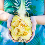 Dried Pineapple